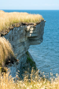 Estland, Ostseeküste, Padilski, Pakri-Pank, Steilküste, baltischer Glint (Kalkstein) Estland, Ostseeküste, Padilski, Pakri-Pank, Steilküste, baltischer Glint (Kalkstein)